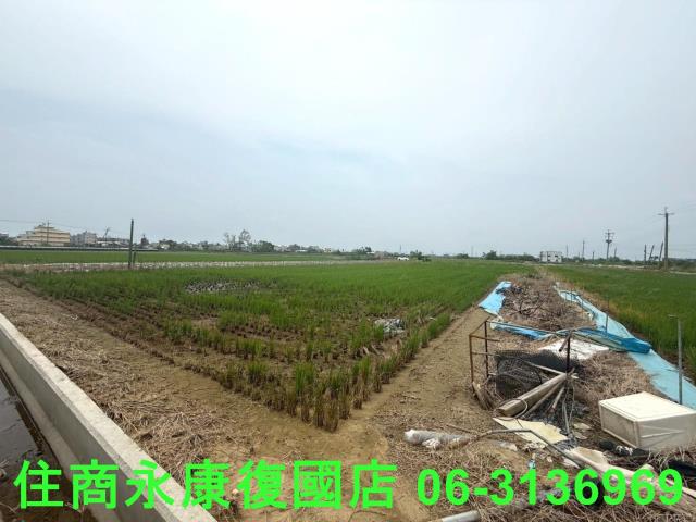 台南新營農地-4