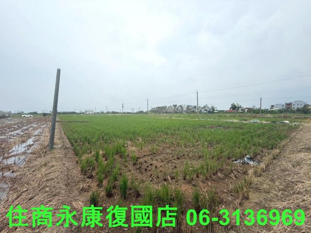 台南新營農地-5