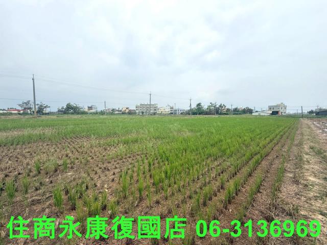 台南新營農地-6