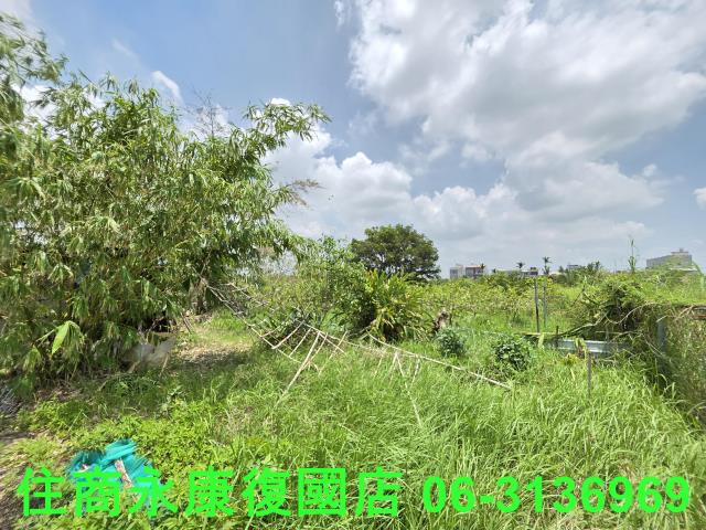 六甲農地-6