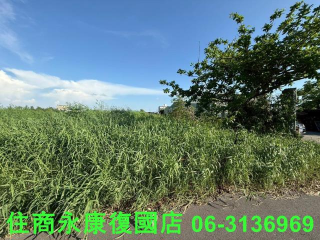 七股農地-3