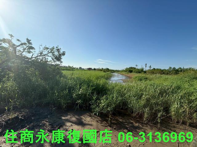 七股農地-4