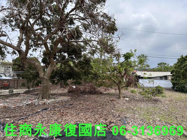 台南建地-5