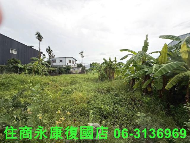 台中農地-7