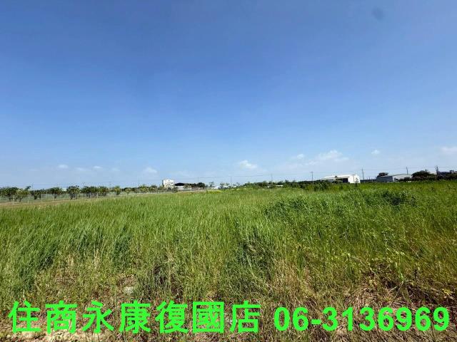 台南農地-5