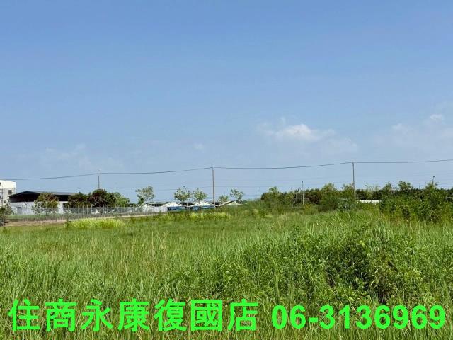 台南農地-8