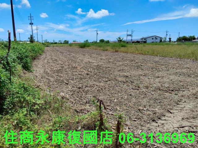 台南鹽水農地-11