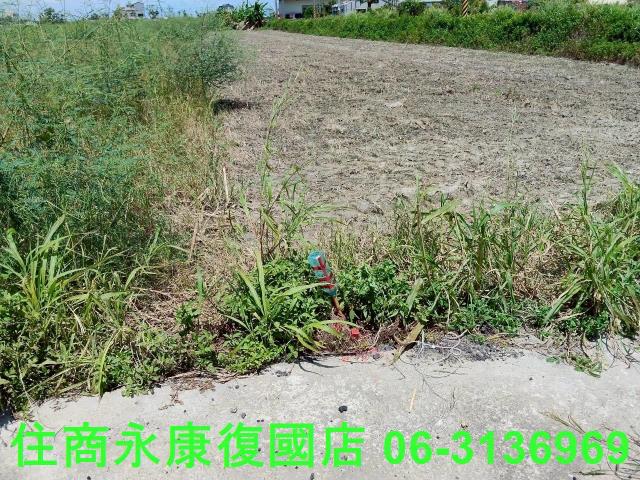 台南鹽水農地-8