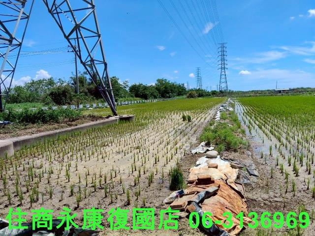 台南柳營農地-2