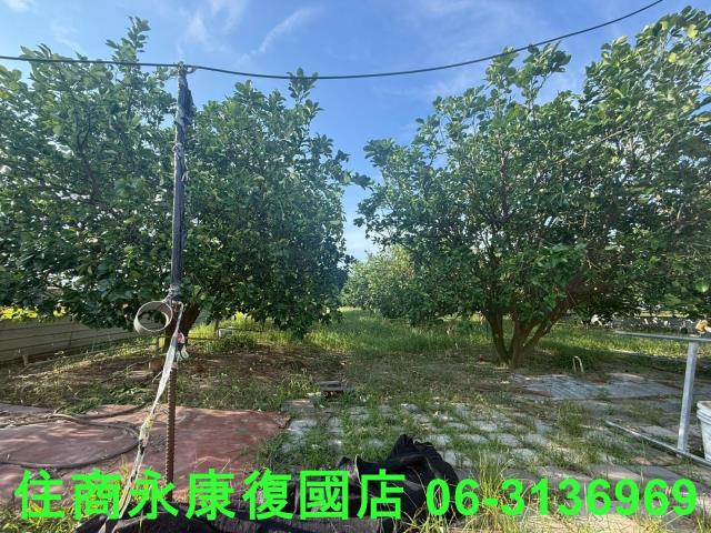 台南下營農地-12