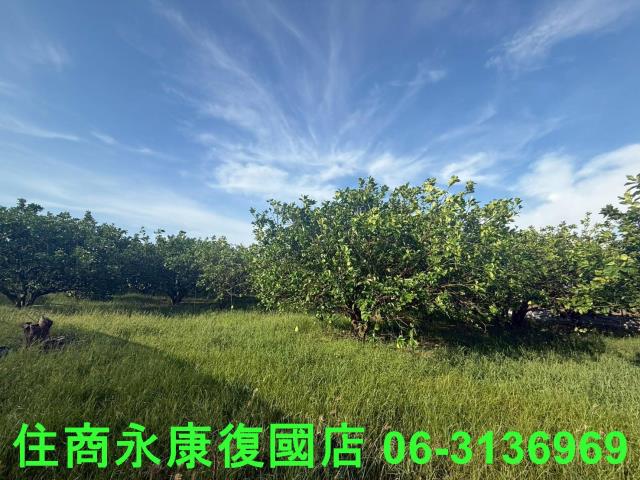 台南下營農地-4