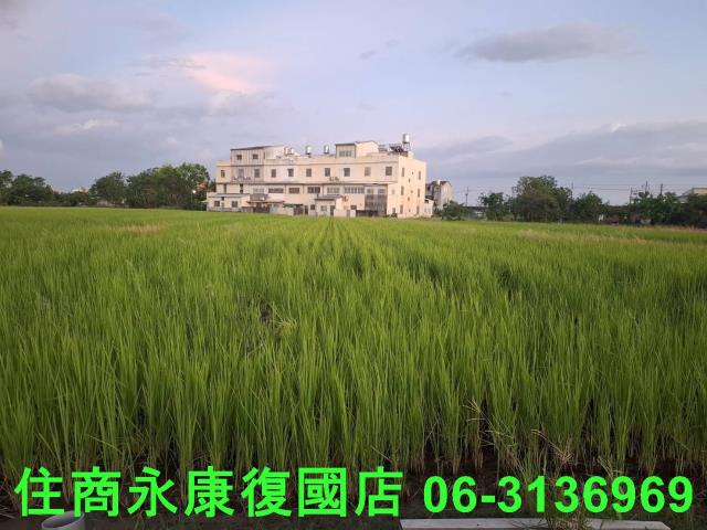 西港農地-1
