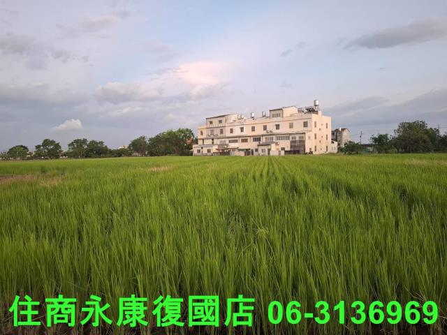 西港農地-6