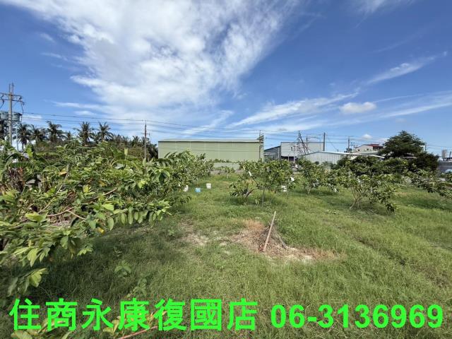 台南安南農地-0