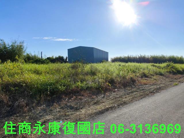 關廟農地-13