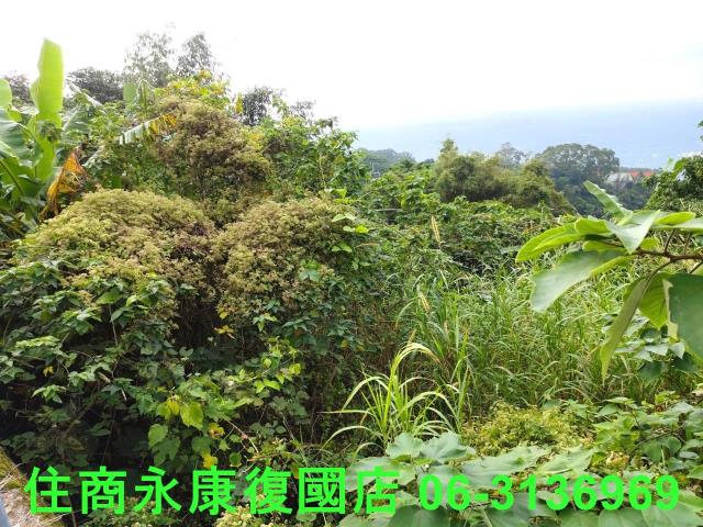 南化農地-3