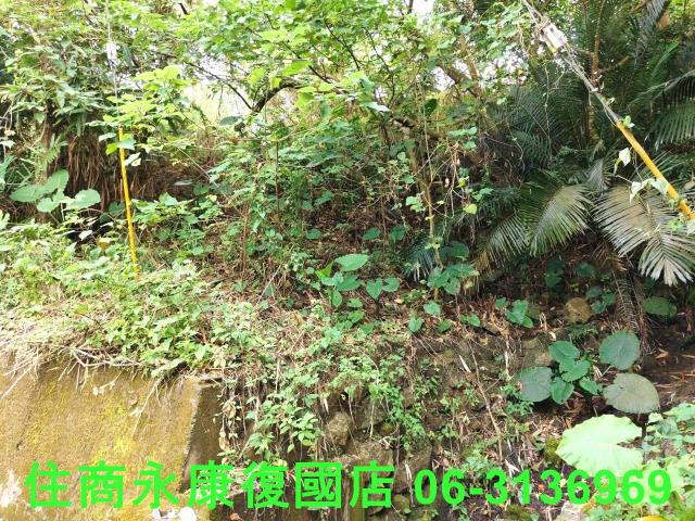 南化農地-4