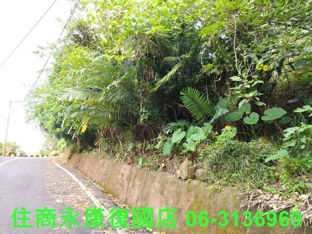 南化農地-5