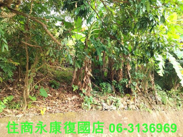 南化農地-6
