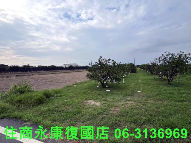 麻豆農地-6