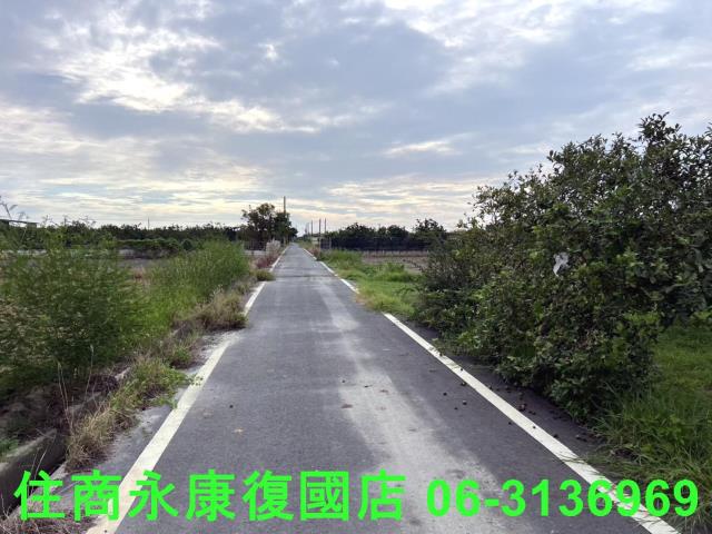麻豆農地-8
