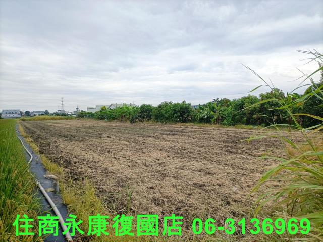歸仁農地-9