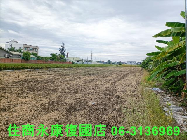 歸仁農地-3