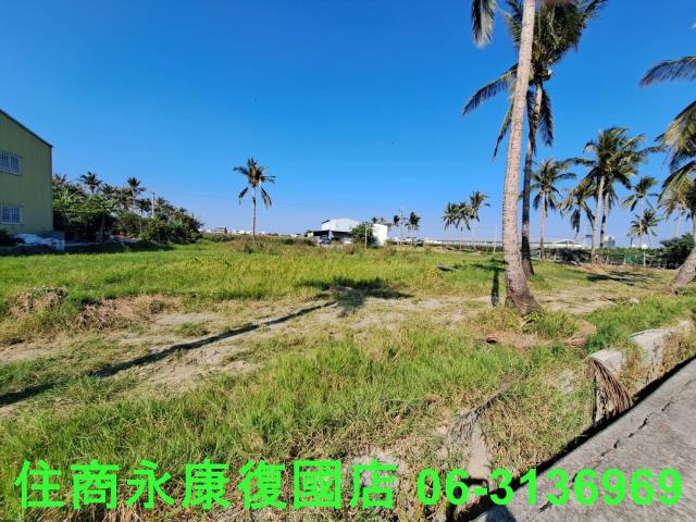台南西港農地-1