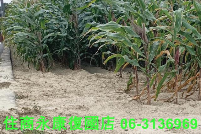 永康農地-8
