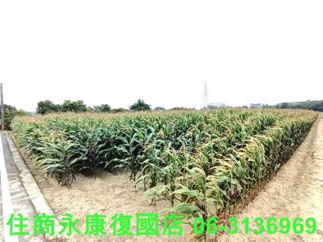 永康農地-0
