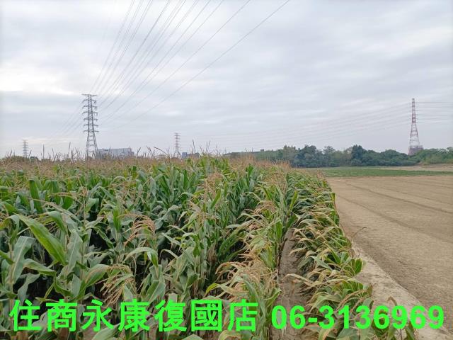 永康農地-2