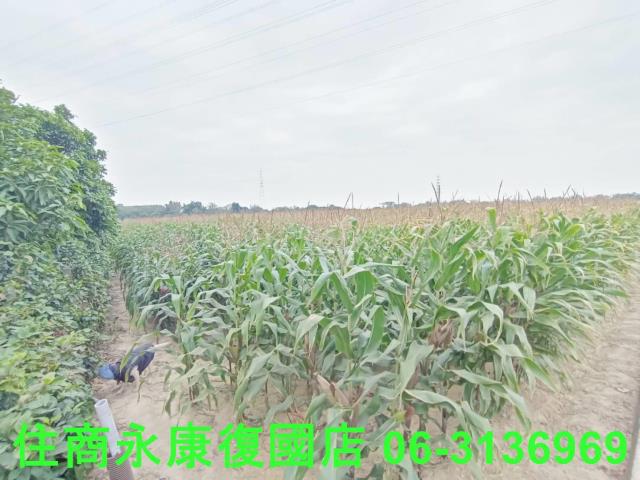 永康農地-6