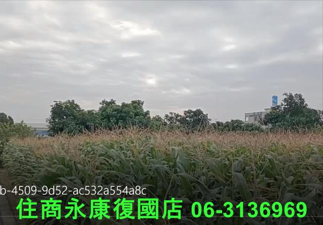 永康農地-7
