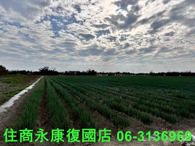 安南農地-3