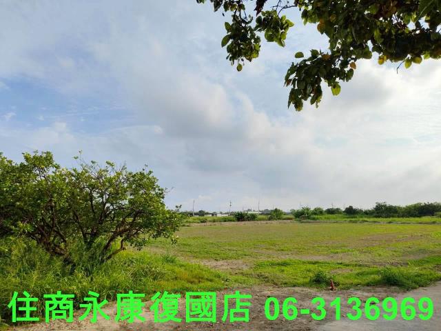 台南佳里農地-11