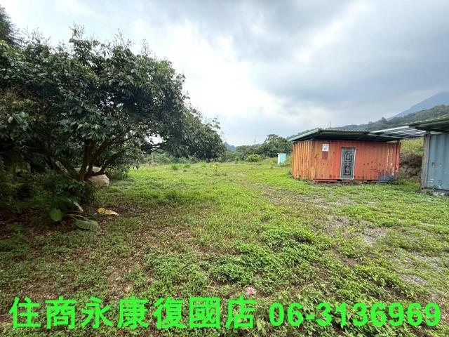 台南東山農地-3