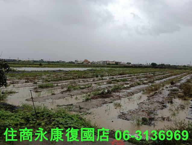 台南鹽水農地-9