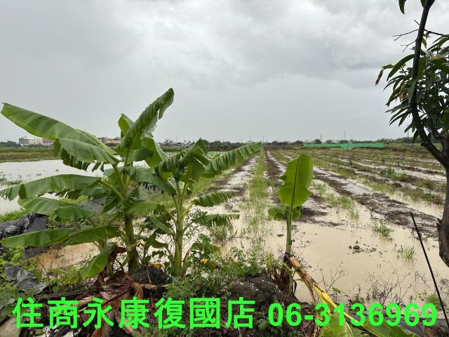 台南鹽水農地-1