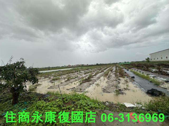 台南鹽水農地-5