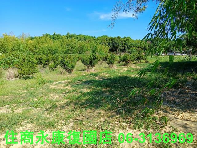 台南歸仁農地-3