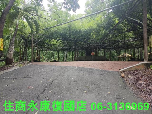 台南官田農地-2