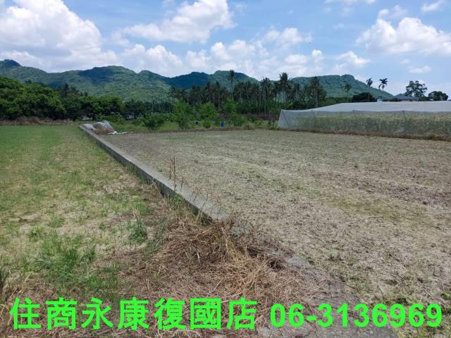 高雄旗山農地-10