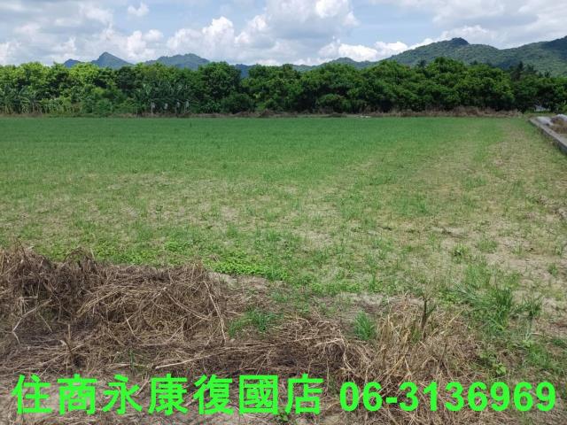 高雄旗山農地-0