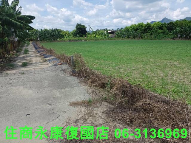 高雄旗山農地-11