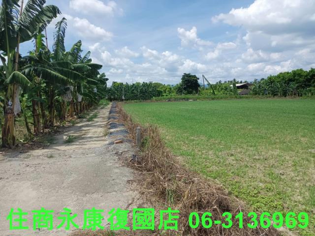高雄旗山農地-12
