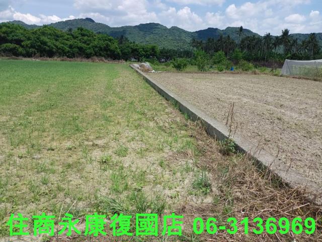 高雄旗山農地-13