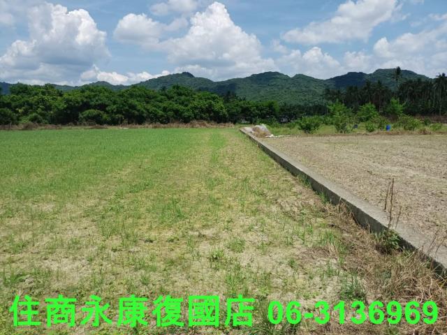 高雄旗山農地-14