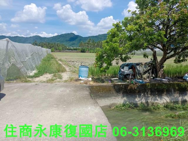 高雄旗山農地-3
