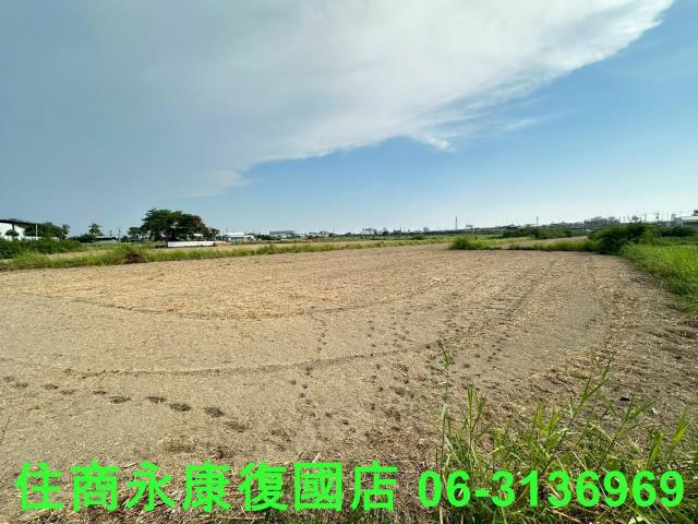 台南仁德農地-5