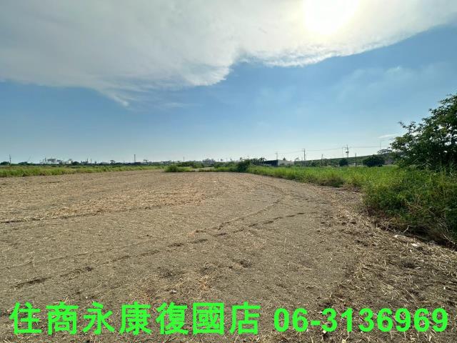 台南仁德農地-8